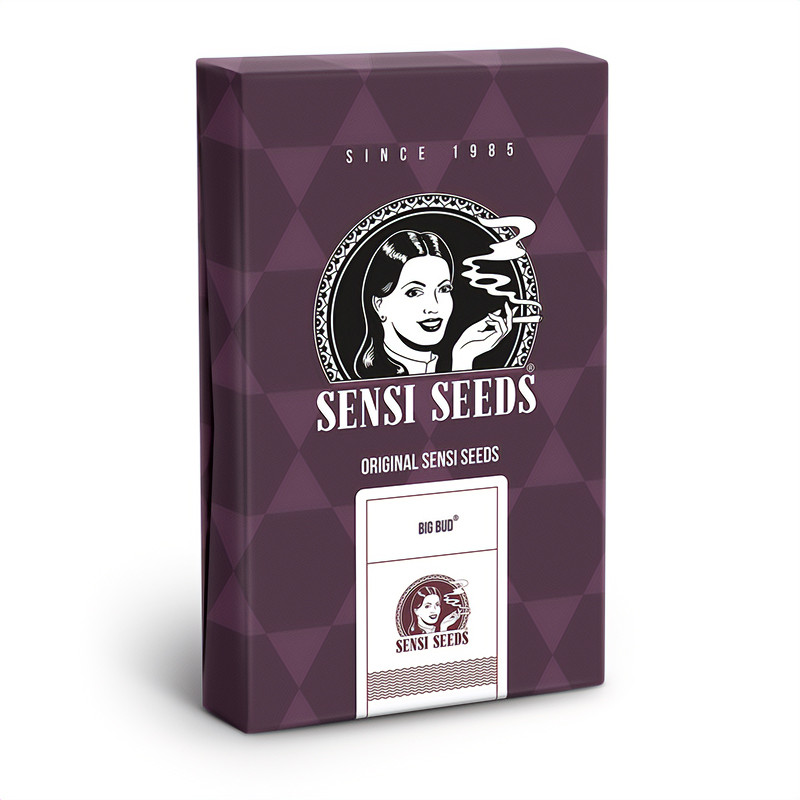 Big Bud feminisierte Cannabissamen, Ansicht 2
