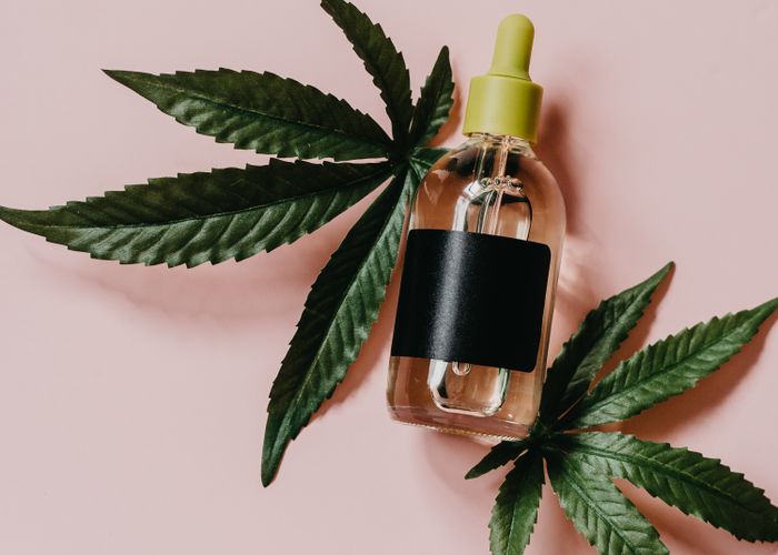 CBD Cannabissamen