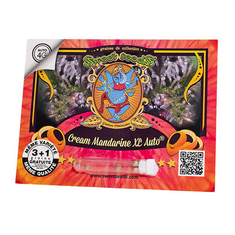 Cream Mandarine XL Auto autoflowering Cannabissamen, Ansicht 4