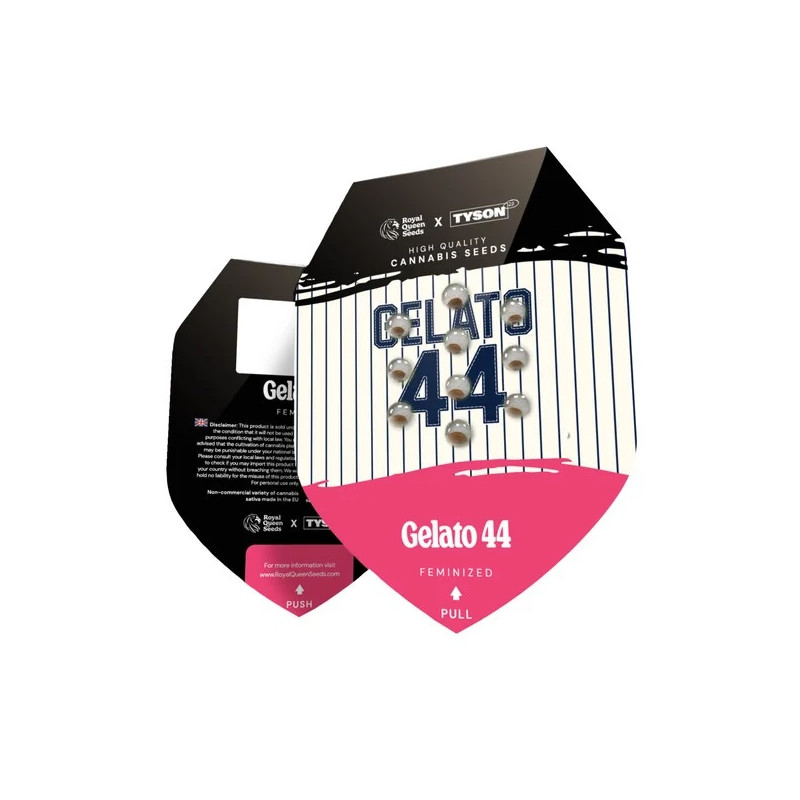 Gelato 44 feminisierte Cannabissamen, Ansicht 2