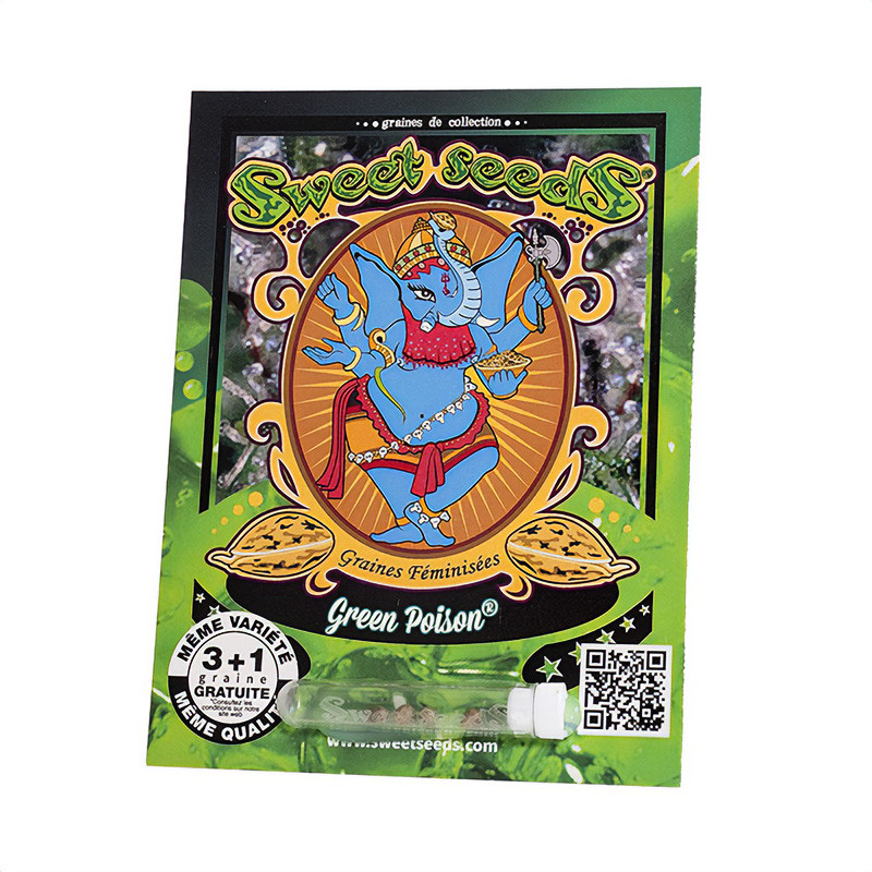 Green Poison feminisierte Cannabissamen, Ansicht 2