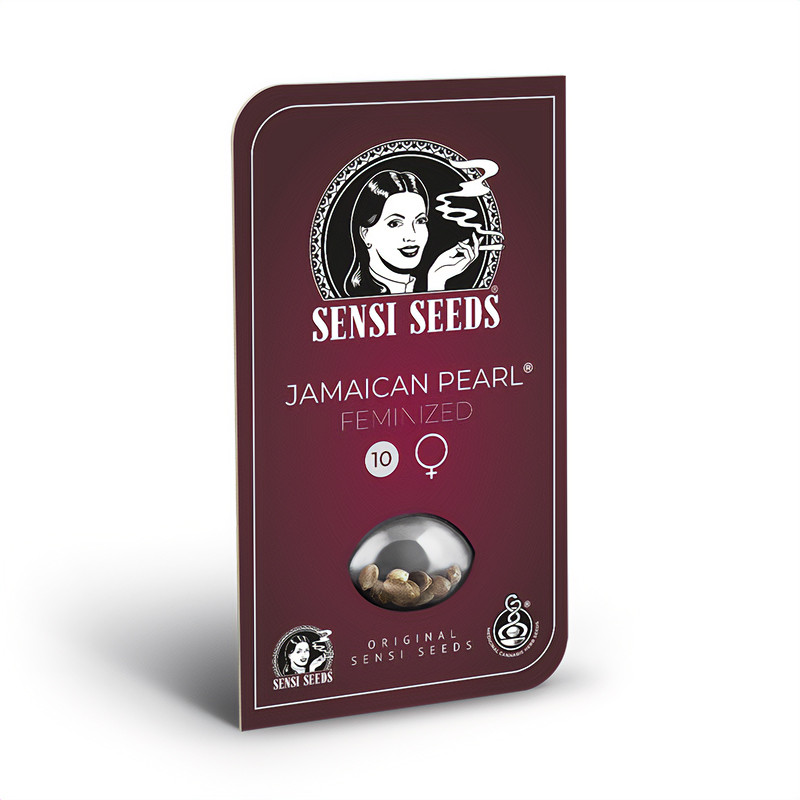 Jamaican Pearl feminisierte Cannabissamen, Ansicht 2