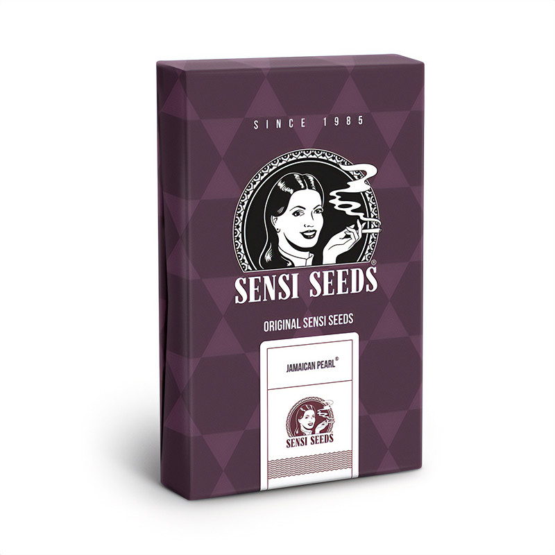 Jamaican Pearl feminisierte Cannabissamen, Ansicht 3