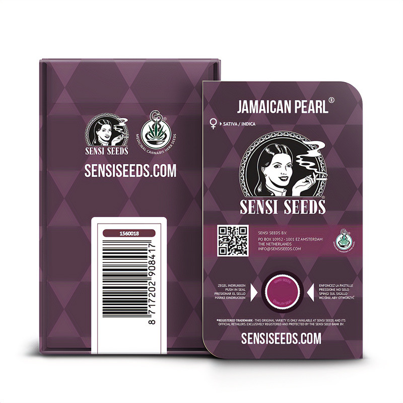 Jamaican Pearl feminisierte Cannabissamen, Ansicht 4