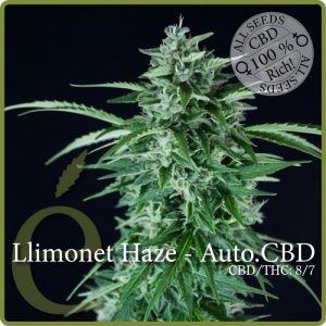Llimonet Haze CBD Auto - Elite Seeds - Samen