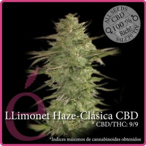 Llimonet Haze Clasicà CBD - Elite Seeds - Samen