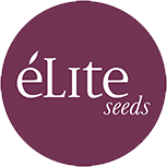 Elite Seeds