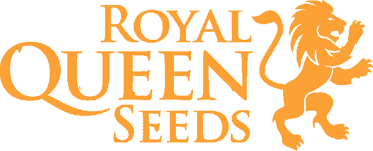 Royal Queen Seeds