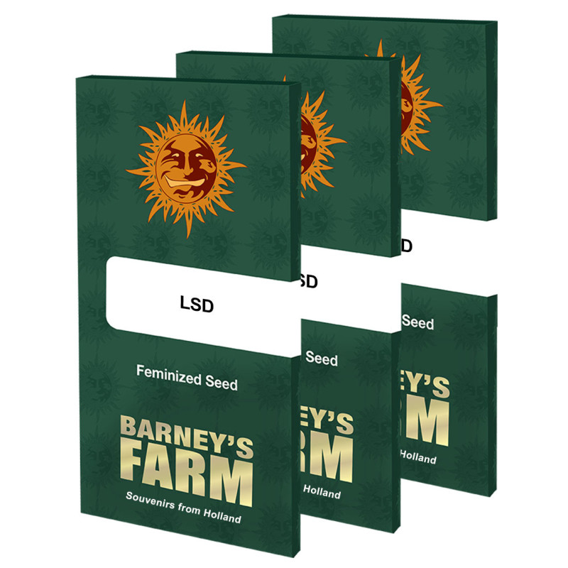 LSD feminisierte Cannabissamen, Ansicht 6