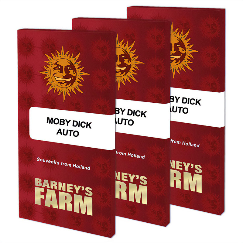 Moby Dick Auto autoflowering Cannabissamen, Ansicht 2