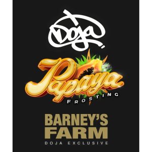 Papaya Frosting - Barney's Farm - feminisierte Samen