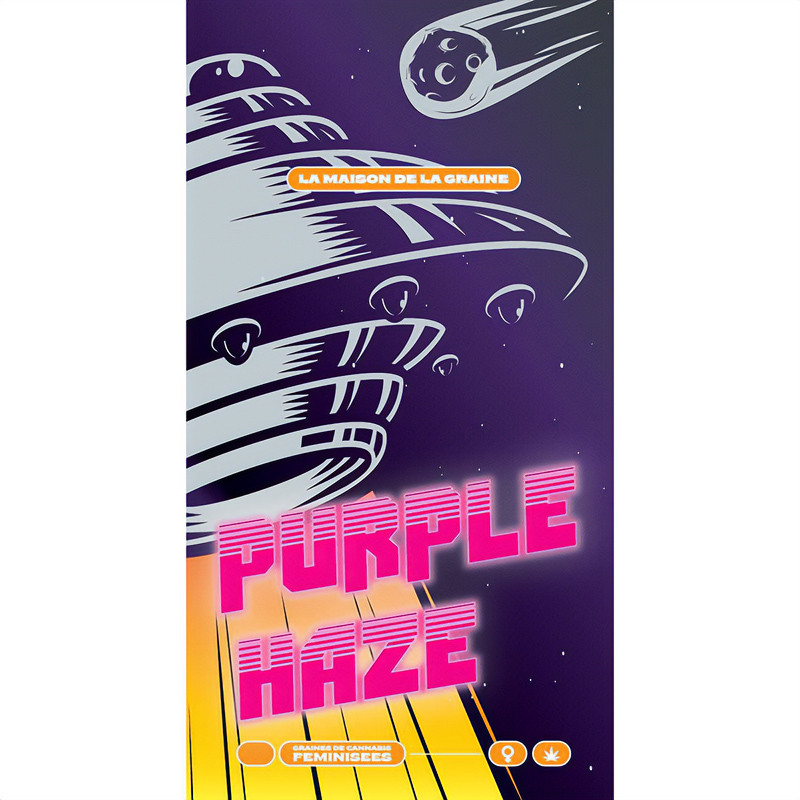 Purple Haze feminisierte Cannabissamen, Ansicht 3