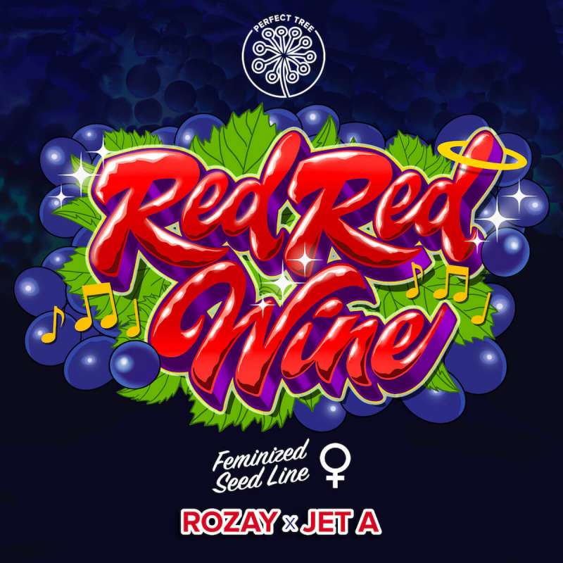 Red Red Wine feminisierte Cannabissamen, Ansicht 2