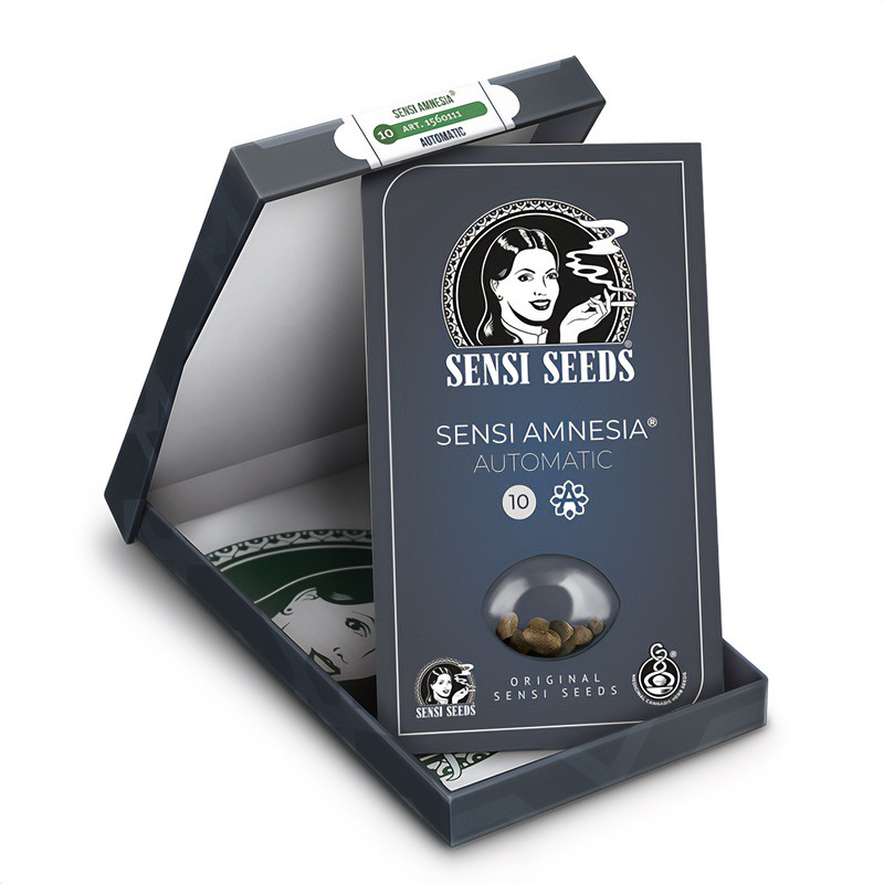 Sensi Amnesia Auto autoflowering Cannabissamen, Ansicht 2