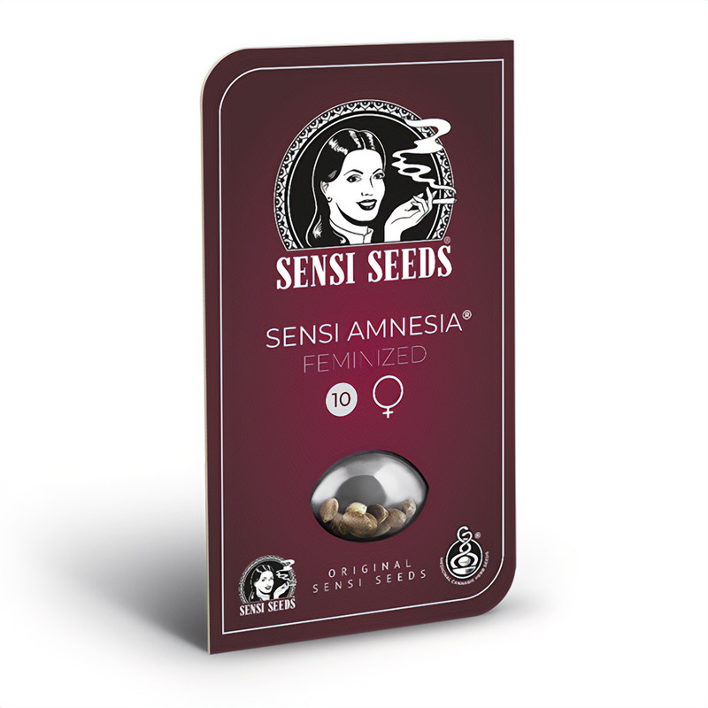 Sensi Amnesia feminisierte Cannabissamen, Ansicht 2