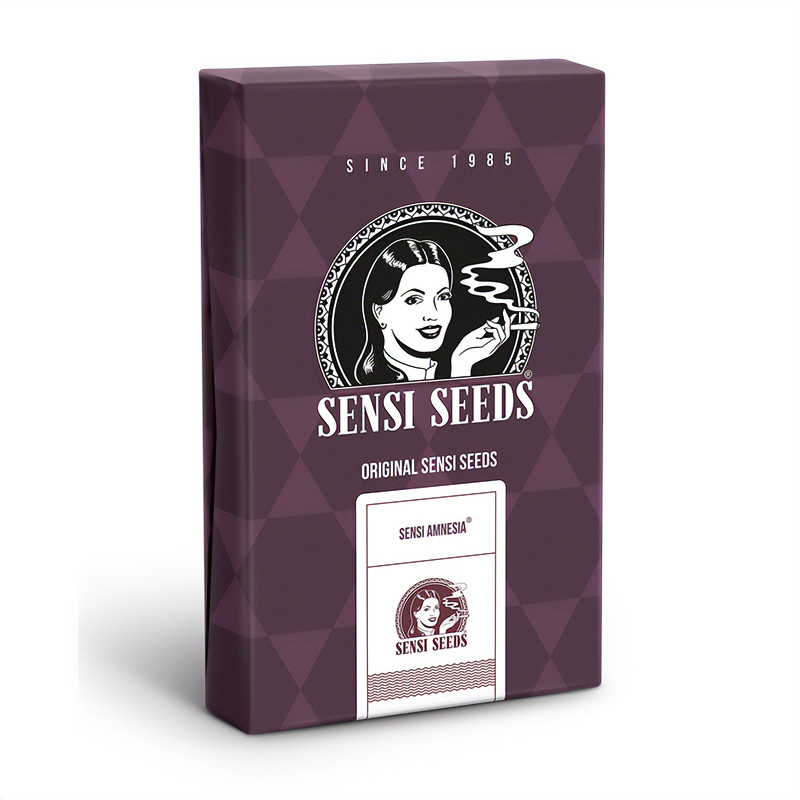 Sensi Amnesia feminisierte Cannabissamen, Ansicht 3