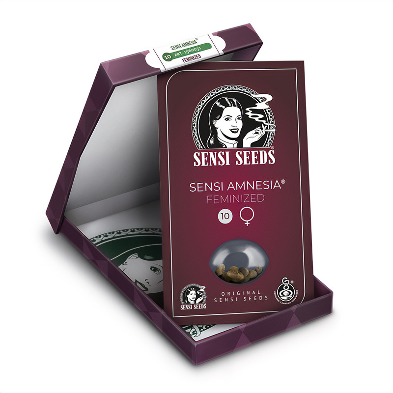 Sensi Amnesia feminisierte Cannabissamen, Ansicht 4