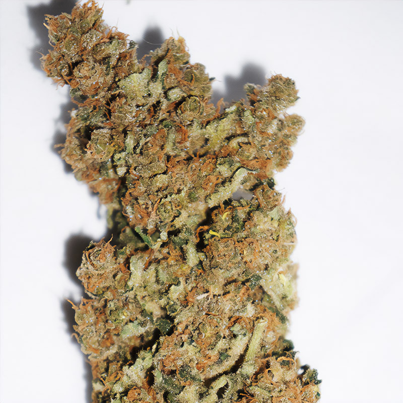 Skunk Haze Cbd Dutch Passion CBD Cannabissamen, Ansicht 3