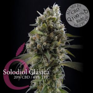 Solodiol Classic CBD - Elite Seeds - Samen