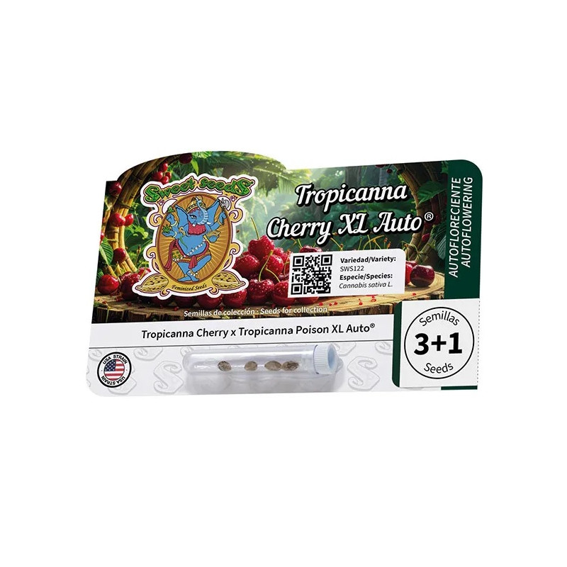 Tropicanna Cherry XL Auto autoflowering Cannabissamen, Ansicht 2