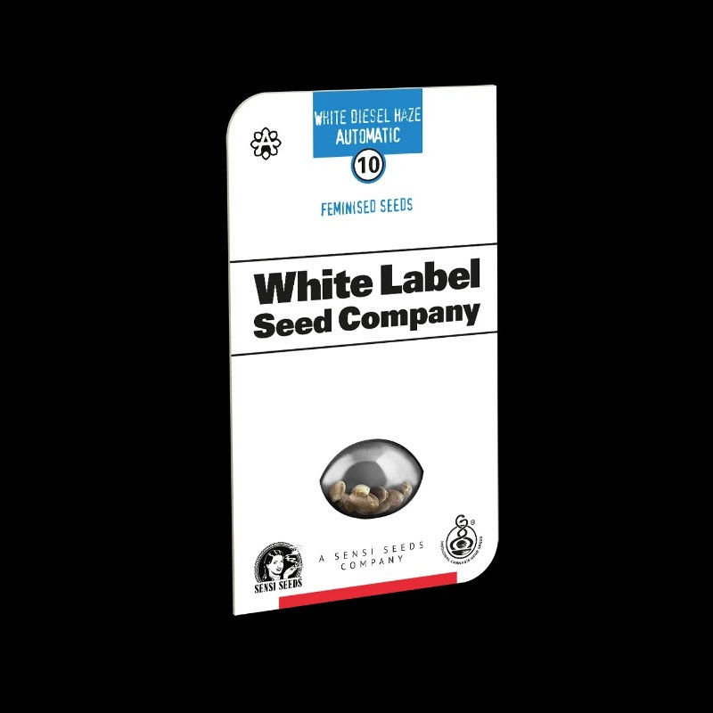 White Diesel Haze Auto autoflowering Cannabissamen, Ansicht 2